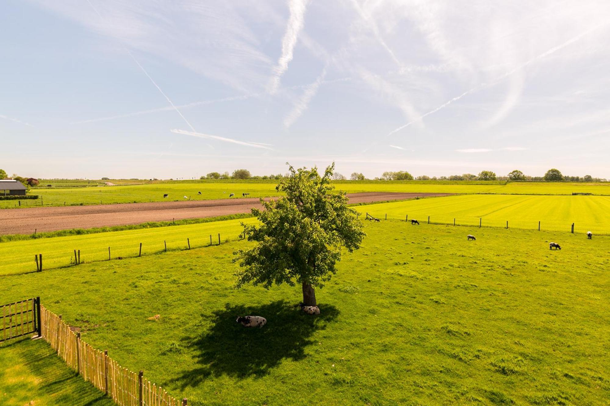 Boerderij De Zalm Bed and Breakfast Schalkwijk Exteriör bild