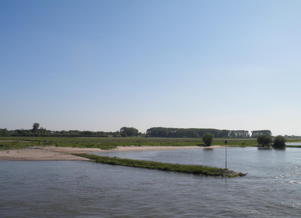 Boerderij De Zalm Bed and Breakfast Schalkwijk Exteriör bild